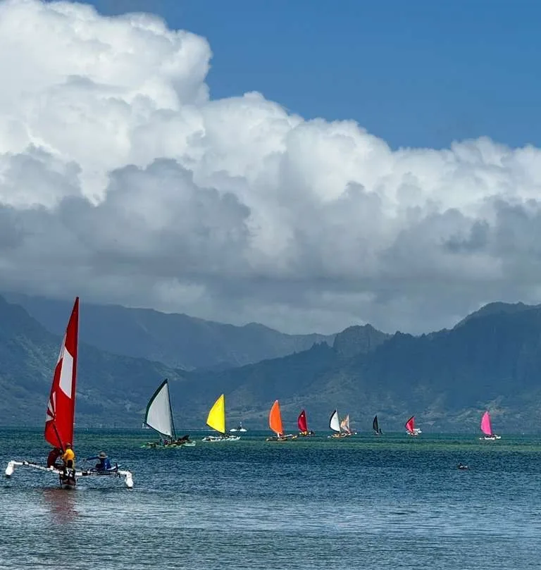 Holopuni Voyage 2025